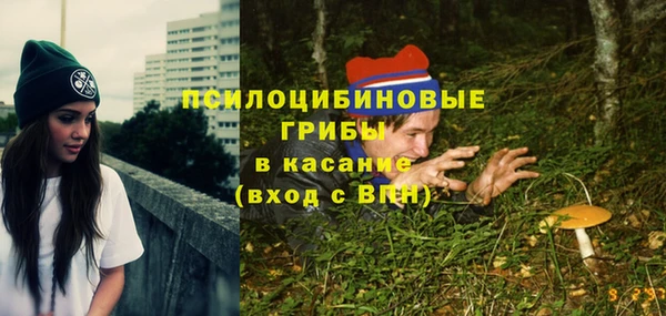 mix Костерёво