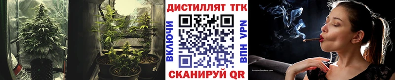 Дистиллят ТГК Wax  дарнет шоп  Сураж 