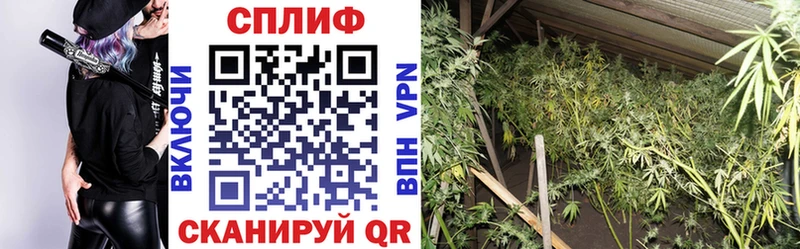 Конопля VHQ  MEGA зеркало  Сураж 